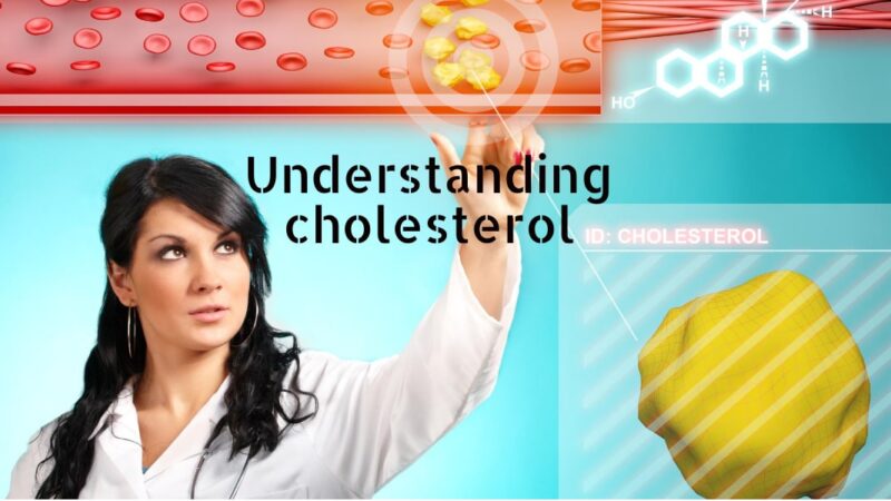 understanding-cholesterol